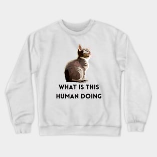 What Is This Human Doing Funny Cat Lovers Design Crewneck Sweatshirt